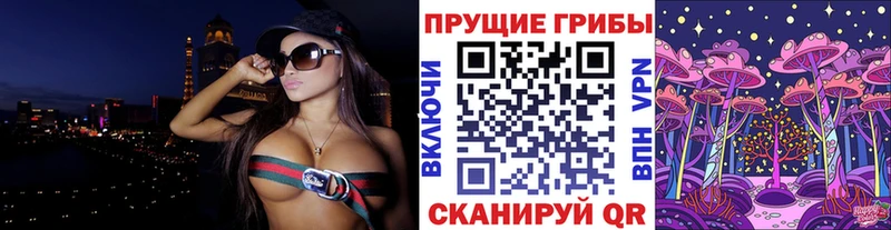 что такое   Кулебаки  Галлюциногенные грибы Psilocybine cubensis 